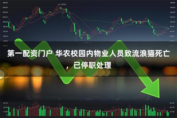 第一配资门户 华农校园内物业人员致流浪猫死亡，已停职处理